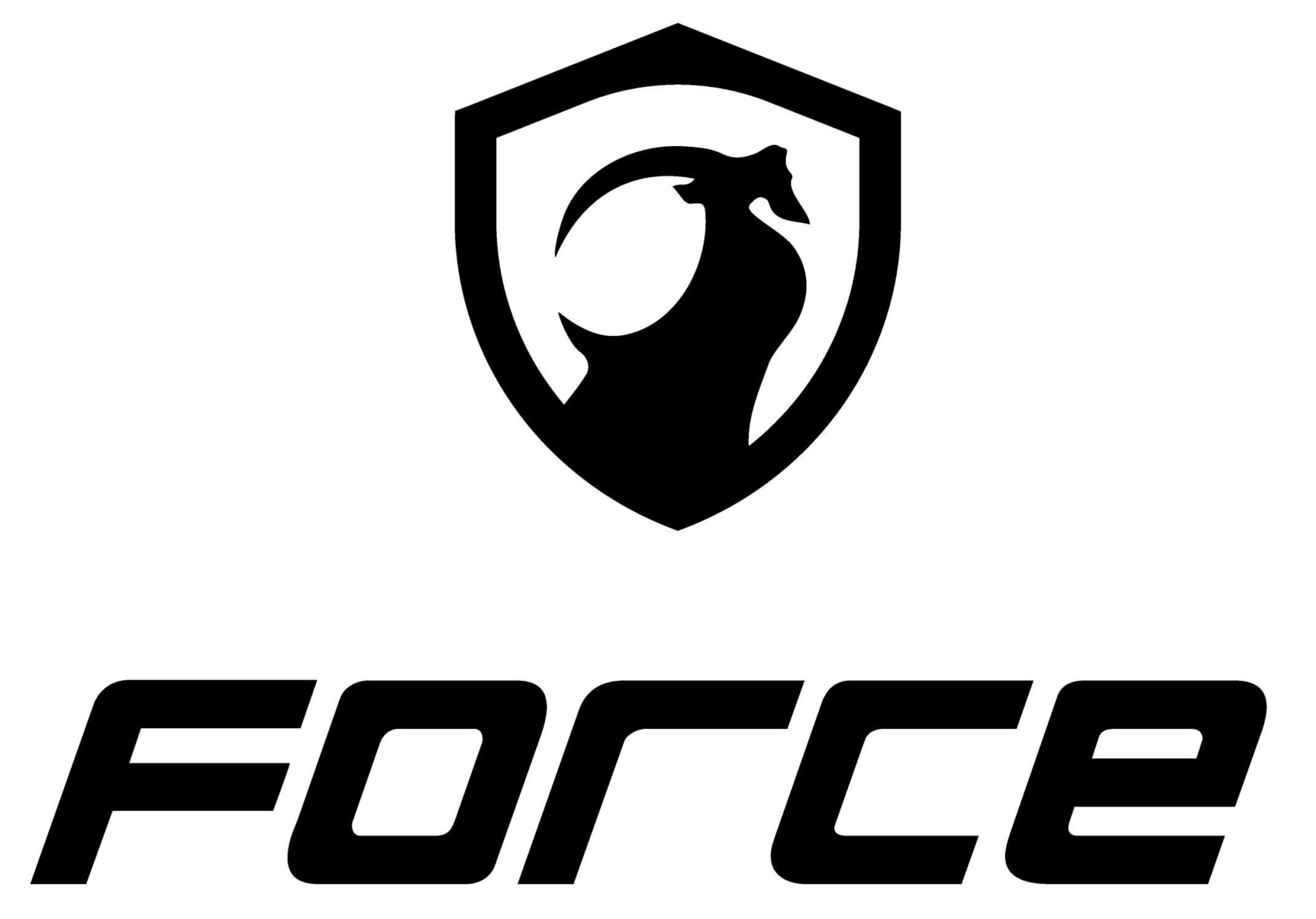 logo-forcestorage